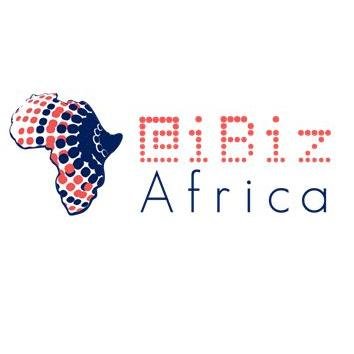 Partner Organization @iBizAfrica image of Ibiz