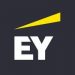Partner Organization EY – Enterprise Growth Services image of 
