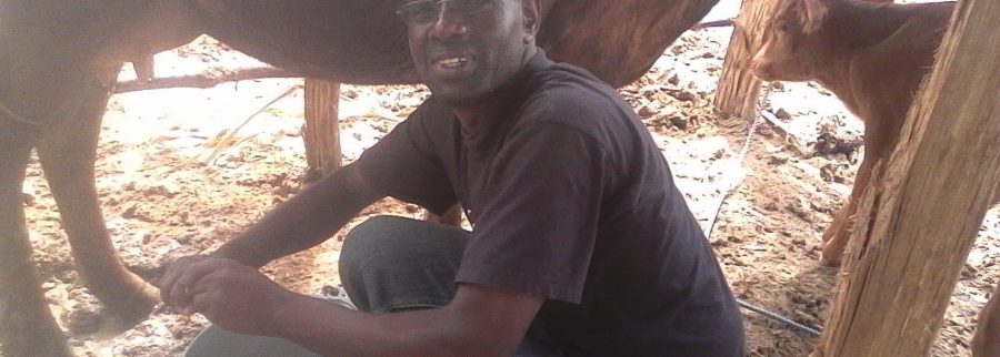 Cover image of Lowell Investments Ltd, Agribusiness venture on VC4A
