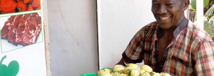 Cover image of ColdHubs, Agribusiness venture on VC4A