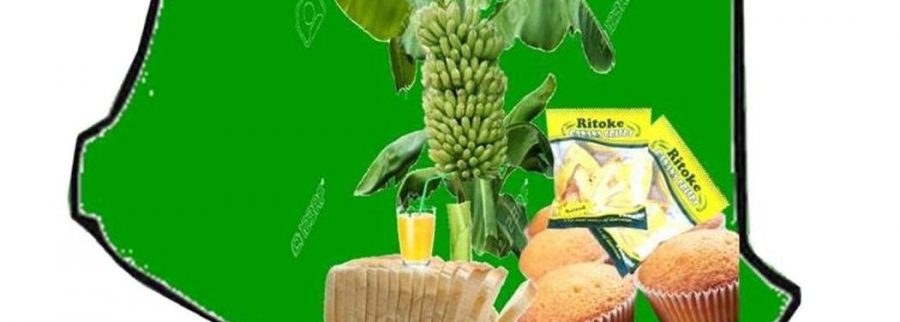 Cover image of nyangorora banana processors limited company, Agribusiness venture on VC4A