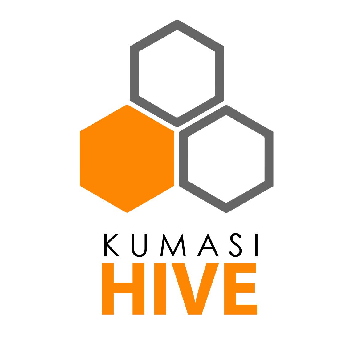 Partner Organization Kumasi Hive image of The Hive