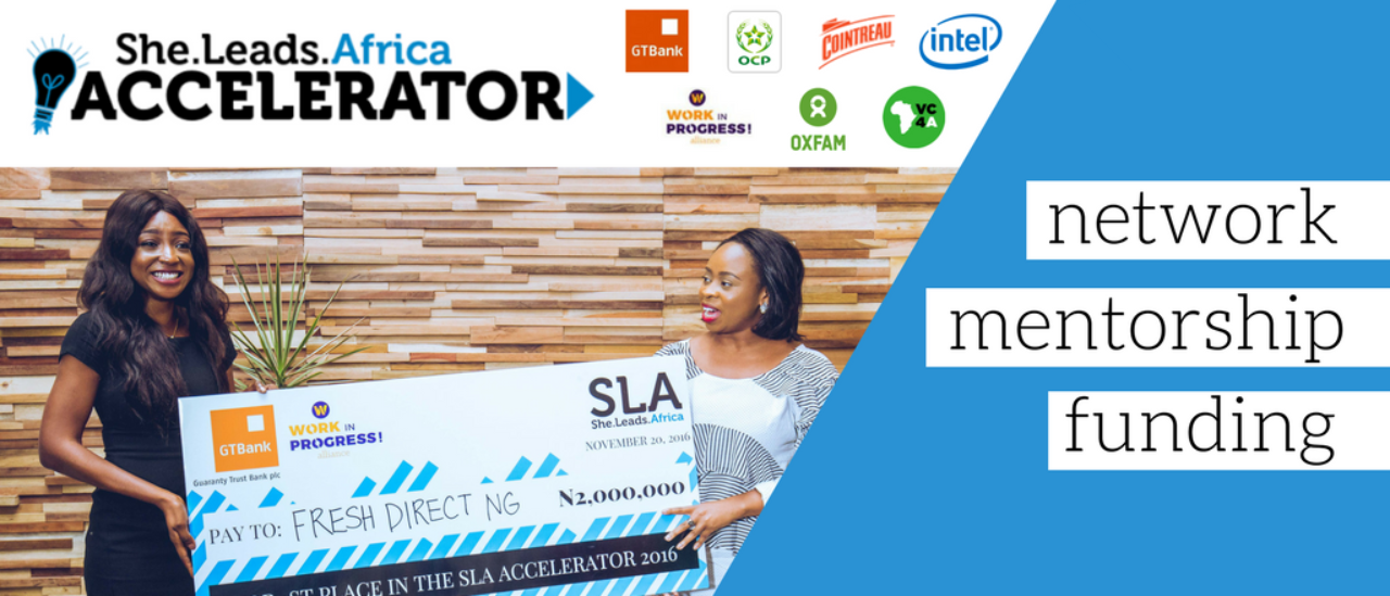 Post Profile 20 Nigerian entrepreneurs selected for She Leads Africa 2017 Accelerator image of Accelerator Banner