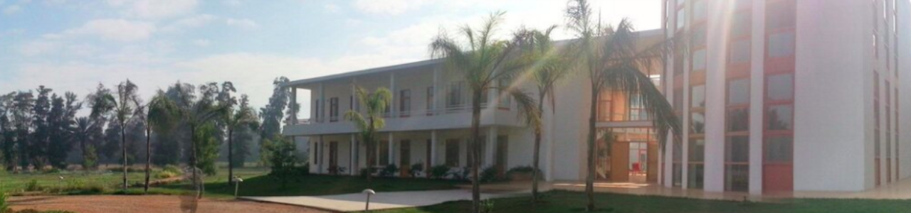 SEKEM Development Foundation