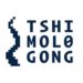 Partner Organization Tshimologong Digital Innovation Precinct image of IIzE FwX X