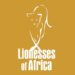 Partner Organization Lionesses of Africa image of InDQ Xuc X