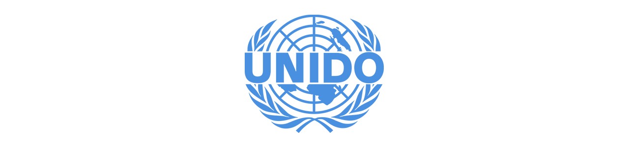 United Nations Industrial Development Organisation (UNIDO)