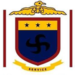 Partner Organization University of Ghana Business School image of Ubsg Logo