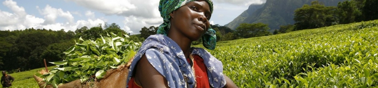 SME Development Programme Uganda