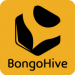 Partner Program Launch By BongoHIve image of Untitled Design
