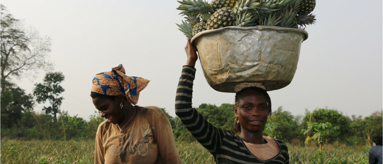 Post Profile Food Connection Challenge Nigeria & Benin harvest big interest from local SMEs image of Px Px Blog Post