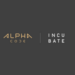 Partner Program Alpha Incubate image of Untitled Design