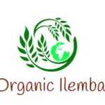 Logo of ORGANIC ILEMBA, Agribusiness venture on VC4A