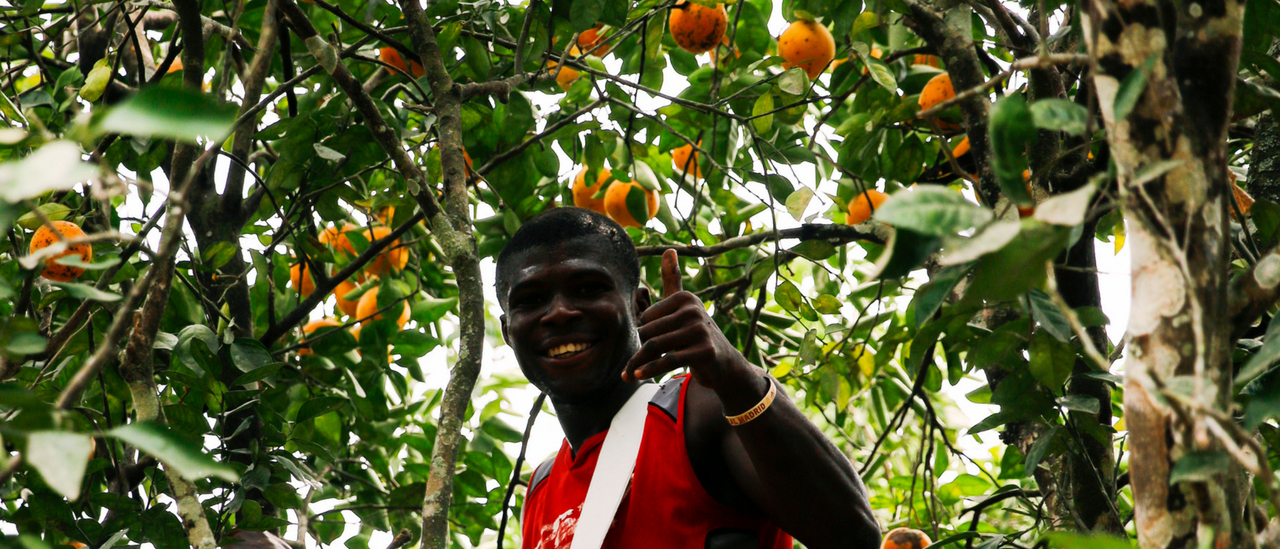 Post Profile Test and taste your assumptions: developing business solutions for post-harvest losses image of Px Px Blog Post