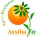Assiba Fee Sarl
