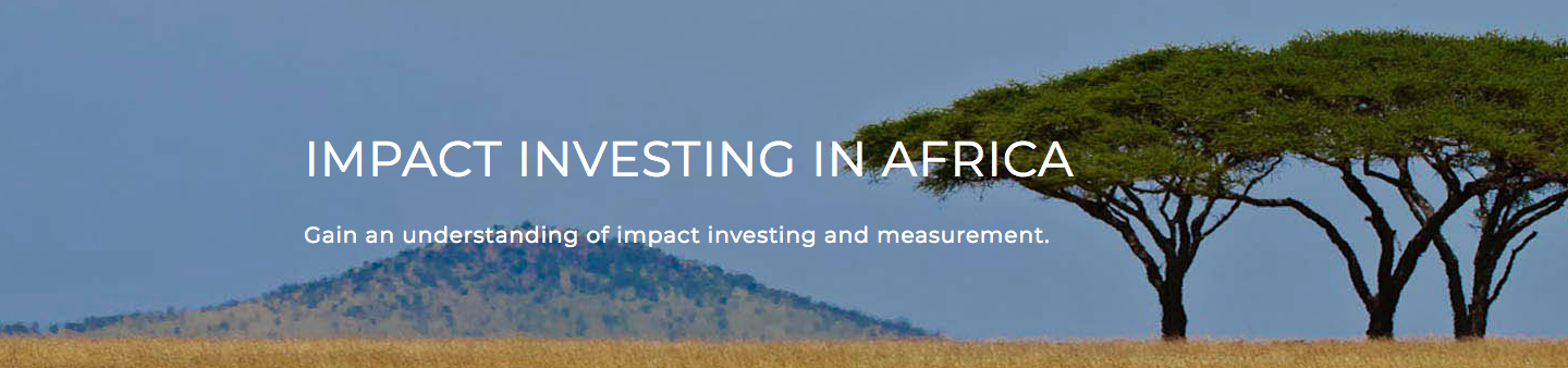 Impact Investing in Africa Executive Education Courses