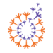 Partner Organization Intellecap image of DIvl Lls X