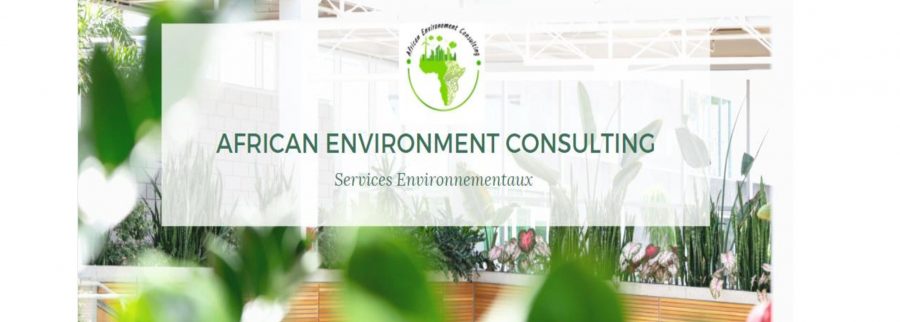 Cover image of African Environment Consulting "AEC", Consulting and business development venture on VC4A
