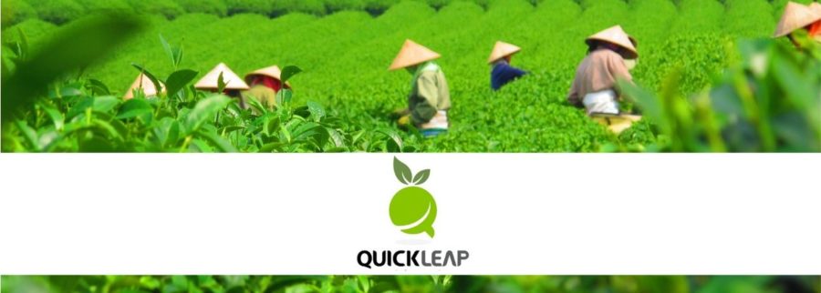 Cover image of Quick Leap, Agribusiness venture on VC4A