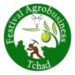 Partner Event Festival Agrobusiness Tchad 2019 image of Agrobusinessvbb