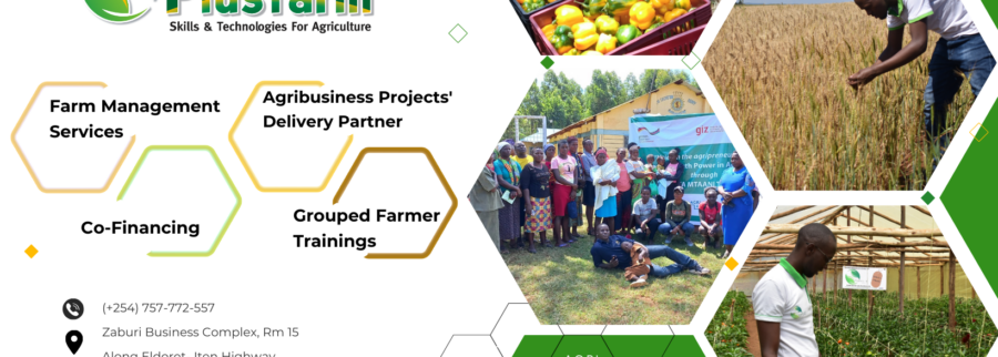 Cover image of Plusfarm Kenya Innovations Ltd, Agribusiness venture on VC4A