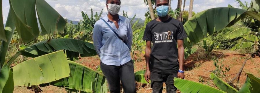 Cover image of Farmz2U, Agritech venture on VC4A