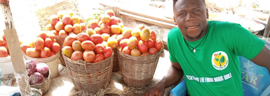 Cover image of FRESH FROM THE FARM  AGRIC WORLD LTD, Agribusiness venture on VC4A