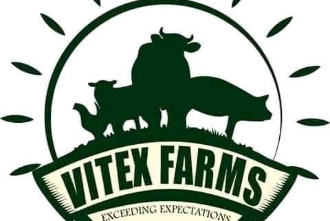 Cover image of VITEX FARMS, Agro-industrie venture on VC4A