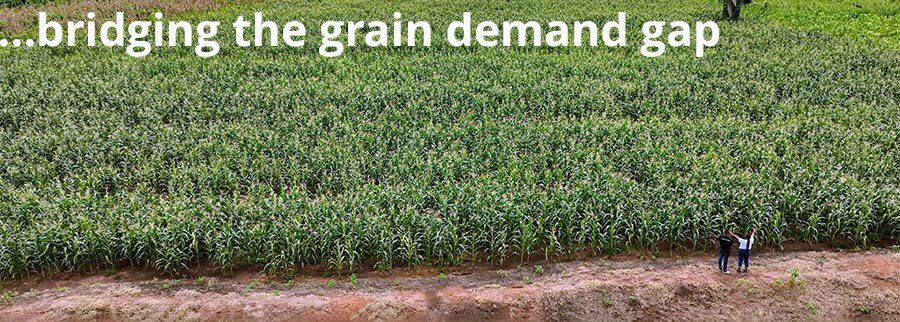 Cover image of FarmCorps, Agribusiness venture on VC4A