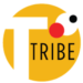 Partner Program TechTribe Accelerator 2019 image of Logotechtribe
