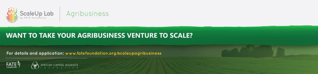 ScaleUp Agribusiness Accelerator Programme 2020