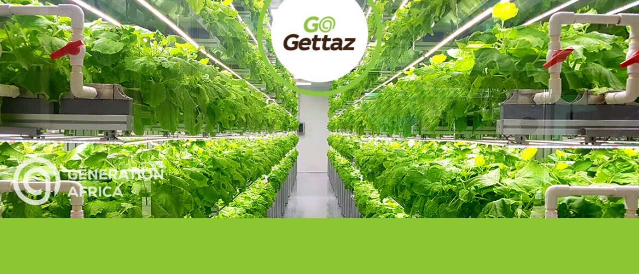 GoGettaz Agripreneurs in Africa