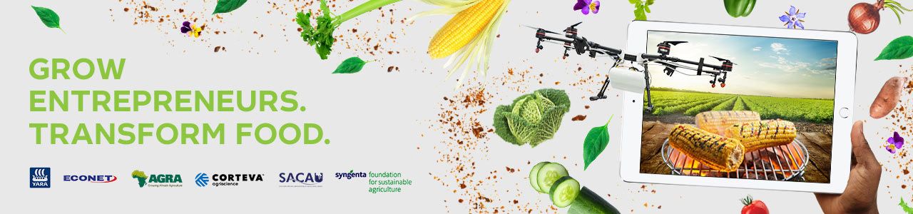 COVID-19 Impact on your agri-food business – Survey