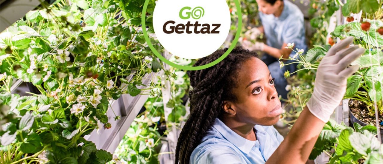 gogettaz