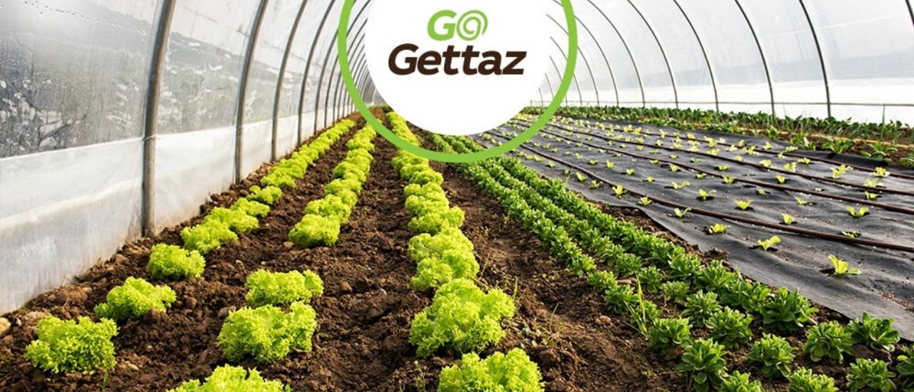 gogettaz agripreneurship 101