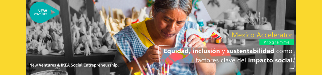 Mexico Accelerator Programme | IKEA Social Entrepreneurship