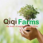 Logo of Qiqi Farms, Agribusiness venture on VC4A