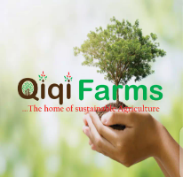 Cover image of Qiqi Farms, Agribusiness venture on VC4A