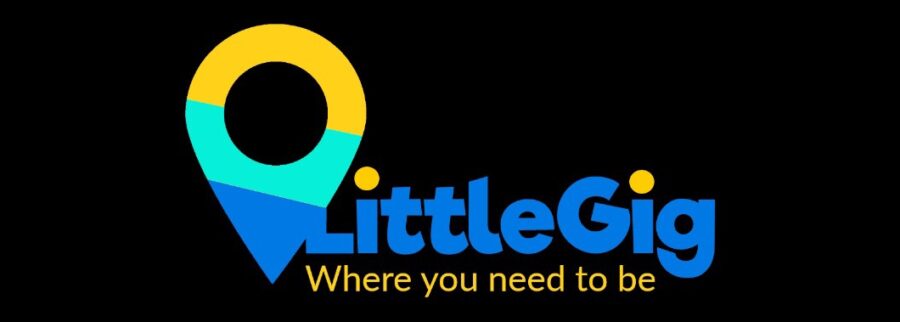 Cover image of LittleGig, E-commerce venture on VC4A