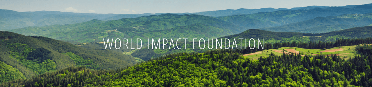 World Impact Foundation