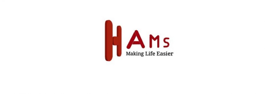 Cover image of Wenzhou Hams Information Technology Co., Ltd, E-commerce venture on VC4A