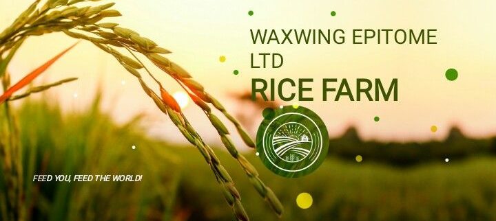 Cover image of Waxwing Epitome Ltd, Agribusiness venture on VC4A