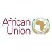 Partner Organization African Union image of African Union Logo X