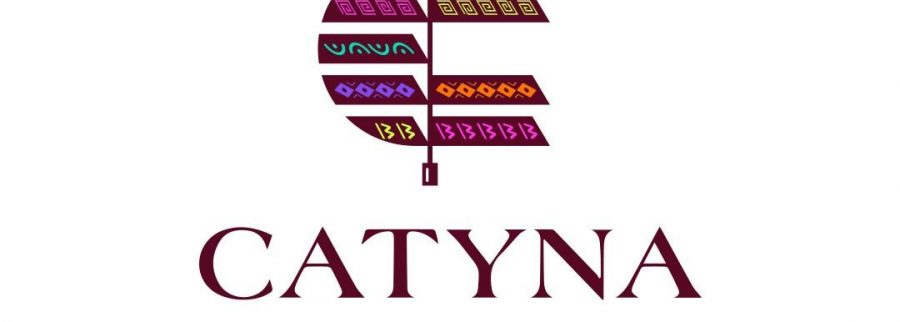 Cover image of Catyna Designs, Construction and manufacturing venture on VC4A