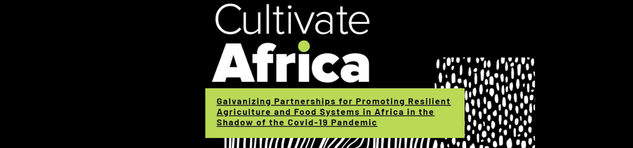 Cultivate Africa