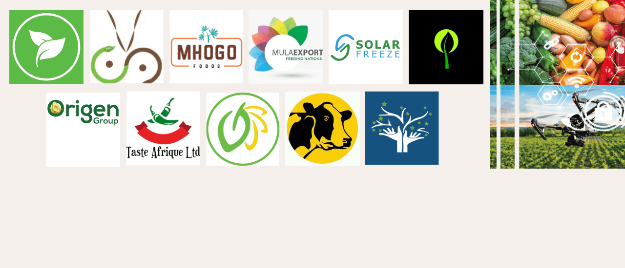 Post Profile 11 Kenyan Agri-Businesses tackling food security set to receive USD 100,000 investment image of Food Africa Cohort