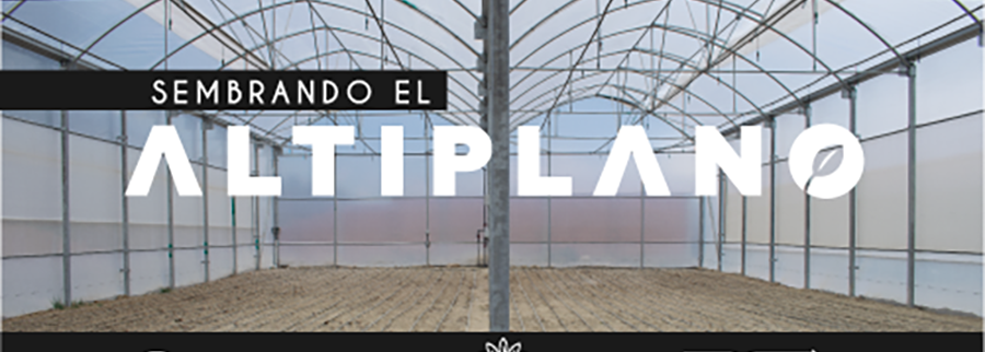 Cover image of ORKIDEA ANDINA, Agroindustria venture on VC4A