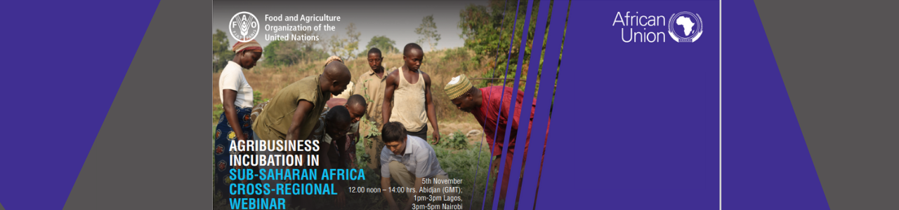 Agribusiness Incubation & Acceleration