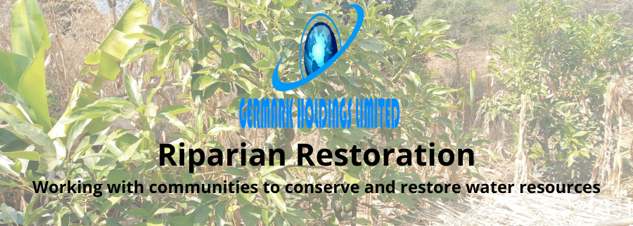 Cover image of GERMARK HOLDINGS LIMITED, Environmental services venture on VC4A