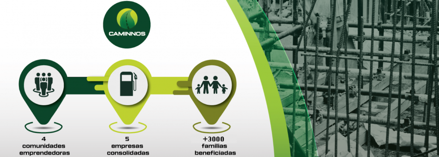 Cover image of CAMINNOS, Consulting and business development venture on VC4A